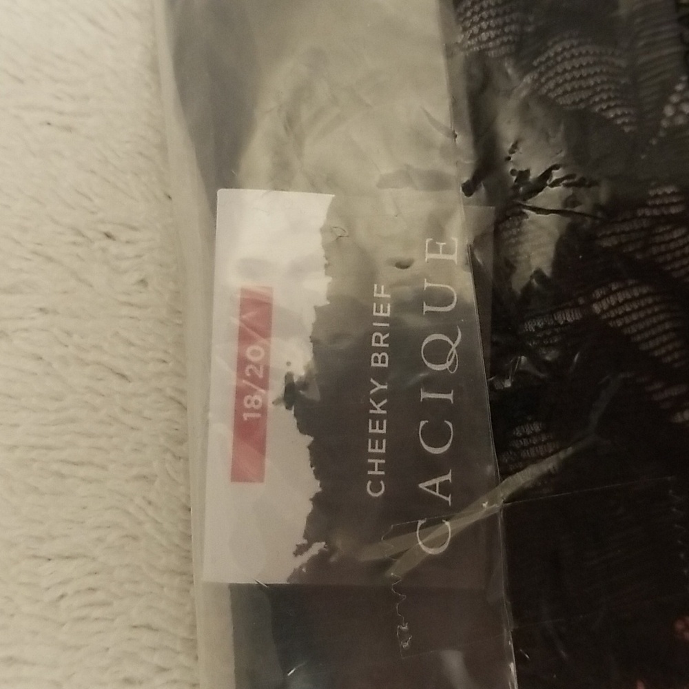 Cacique 18/20 Cheeky Brief Panty - Picture 7 of 10